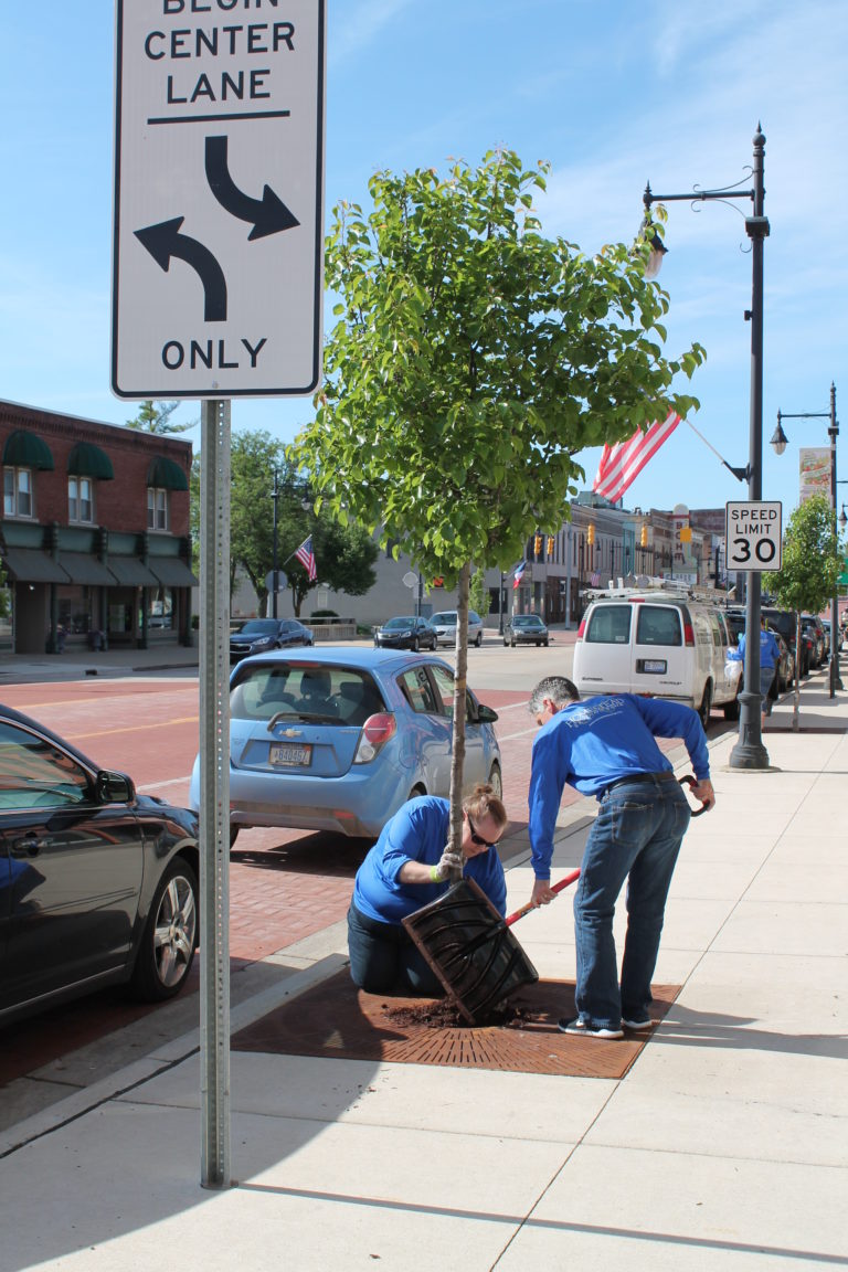 Two members of the Homestead team replacing mulch for a tree in downtown Albion.