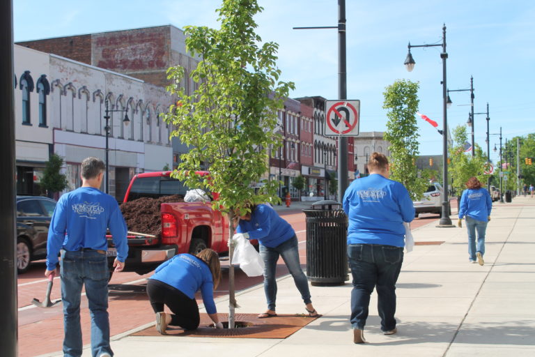 Homestead team members replacing mulch for trees in downtown Albion.