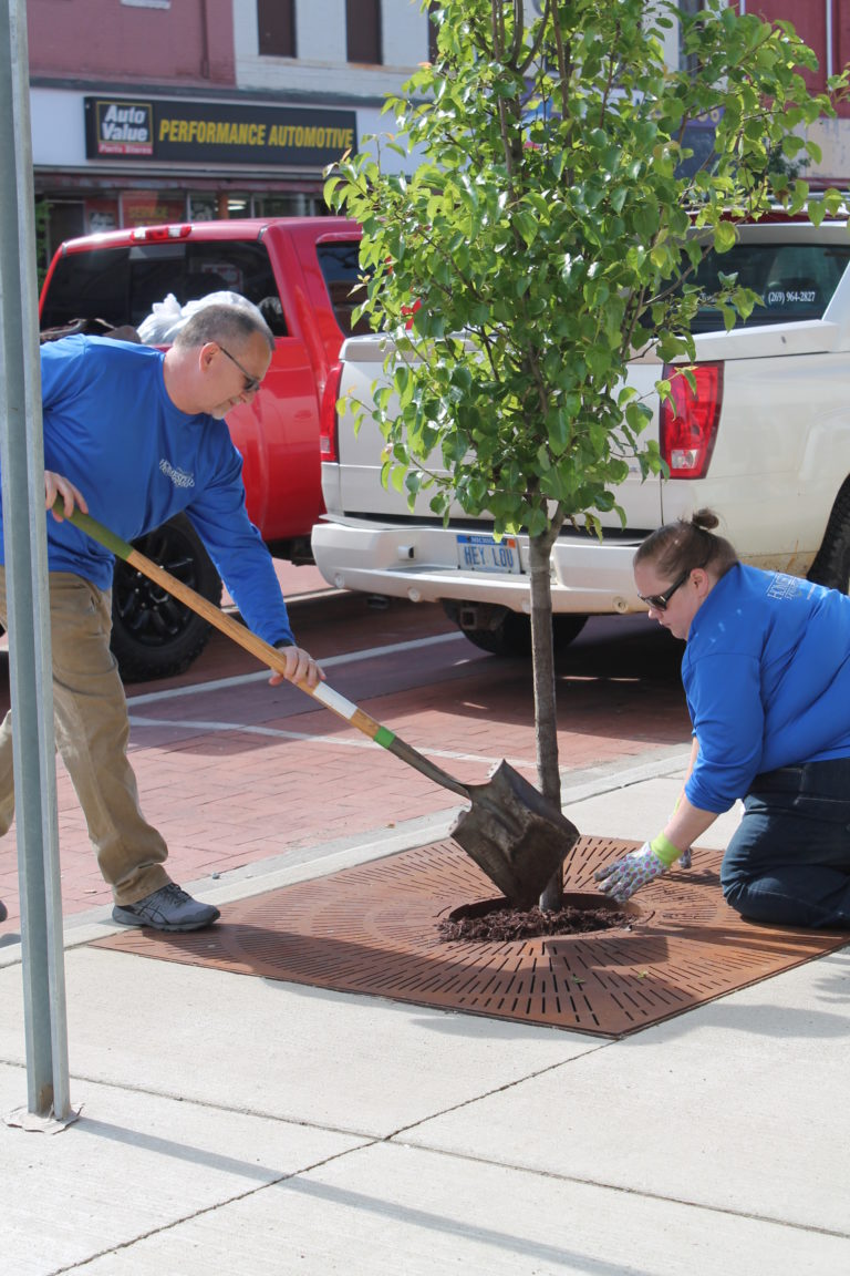 Two members of the the Homestead team adding fresh mulch to a tree in downtown Albion.