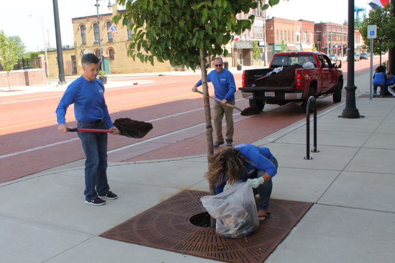 Three members of the Homestead team replacing mulch for a tree in downtown Albion.